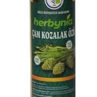 Çam Kozalağı Özü Çam Kozalağı Özü